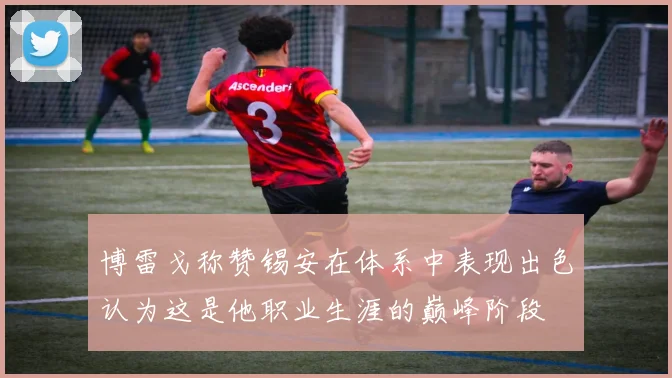 博雷戈称赞锡安在体系中表现出色认为这是他职业生涯的巅峰阶段